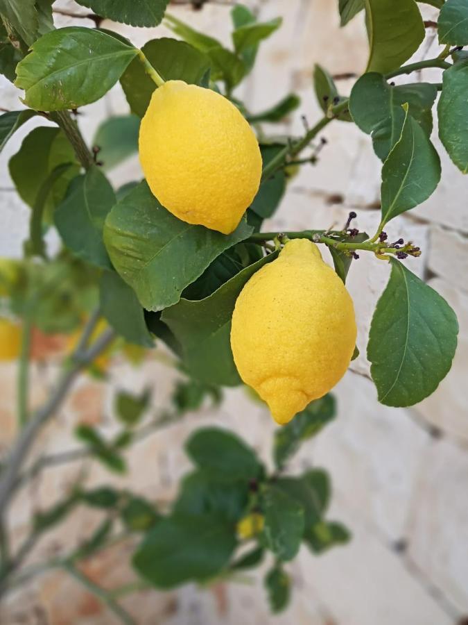 הוילה מונופולי Casa Ale & Vinci מראה חיצוני תמונה